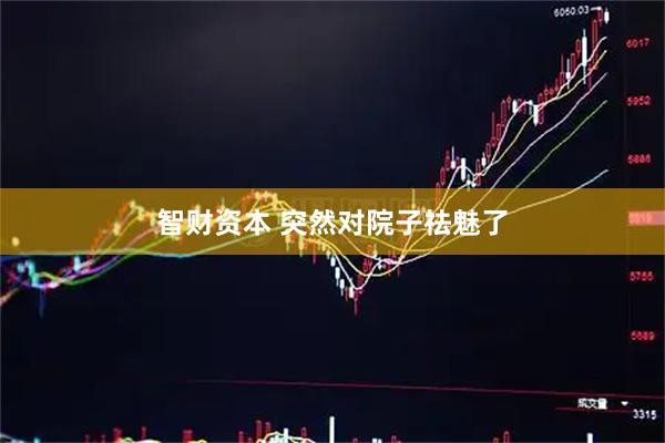 智财资本 突然对院子祛魅了