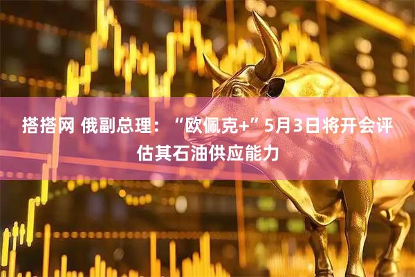 搭搭网 俄副总理：“欧佩克+”5月3日将开会评估其石油供应能力