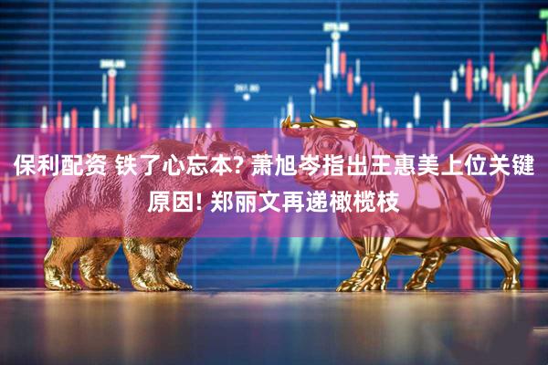 保利配资 铁了心忘本? 萧旭岑指出王惠美上位关键原因! 郑丽文再递橄榄枝